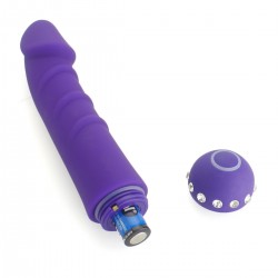 Vibrator 10 Modes 