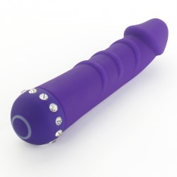 Vibrator 10 Modes 