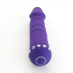 Vibrator 10 Modes 