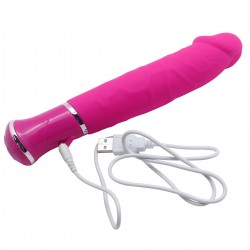 Vibrator 