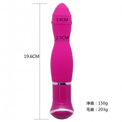 Vibrator 