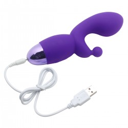 Vibrator 