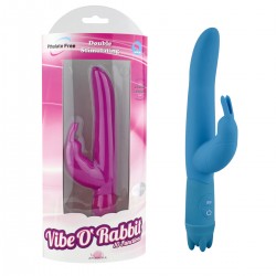 Vibrator 10 Modes Vibe 